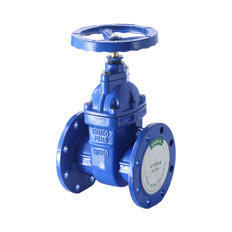 NSY gate valve