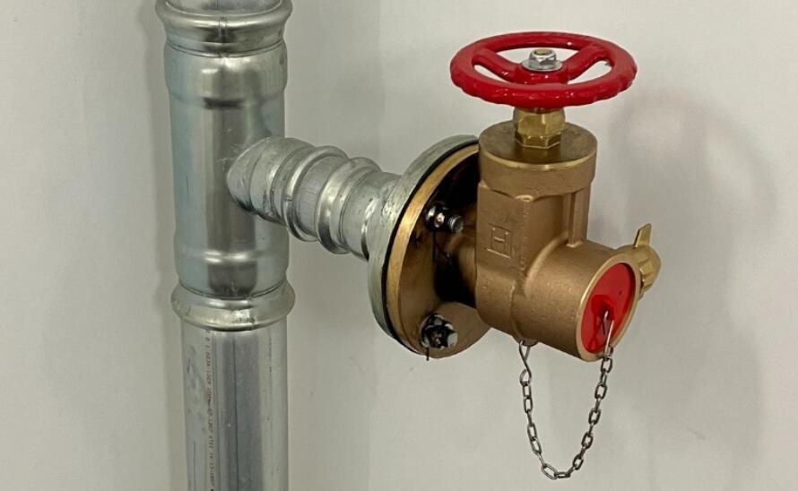 QQ20241106111736 QQ20241106111736