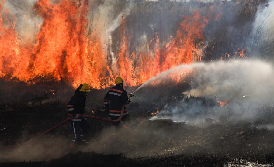 QQ20241106162631 QQ20241106162631