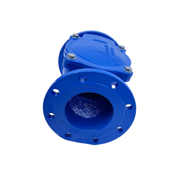 Factory Hot Selling Ductile Iron Cast Iron CI PN16 Flanged Durable Rubber 45 degree Flap Check Valve