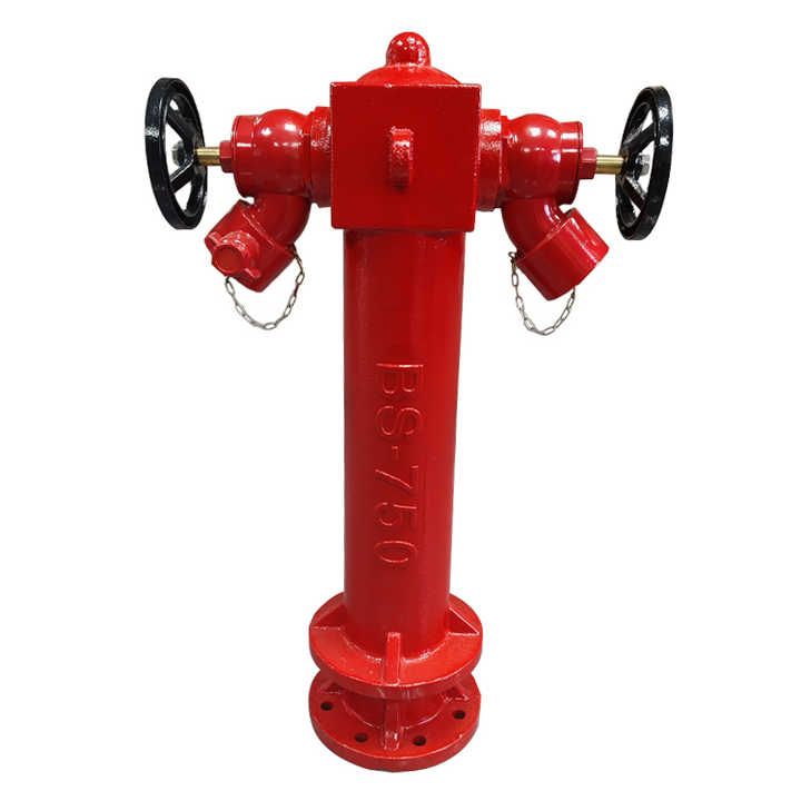 Outdoor Wet Pillar r 2 Way Fire Hydrant Aluminium Alloy Valves 2.5" For Fire Fighting Fireman