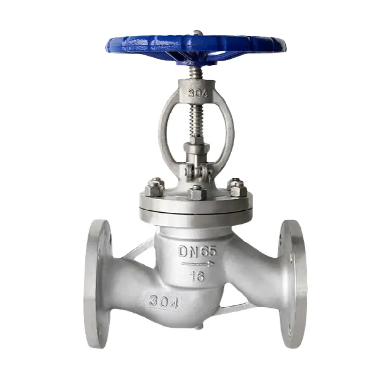 SS 304 Valve Flange Globe Valve