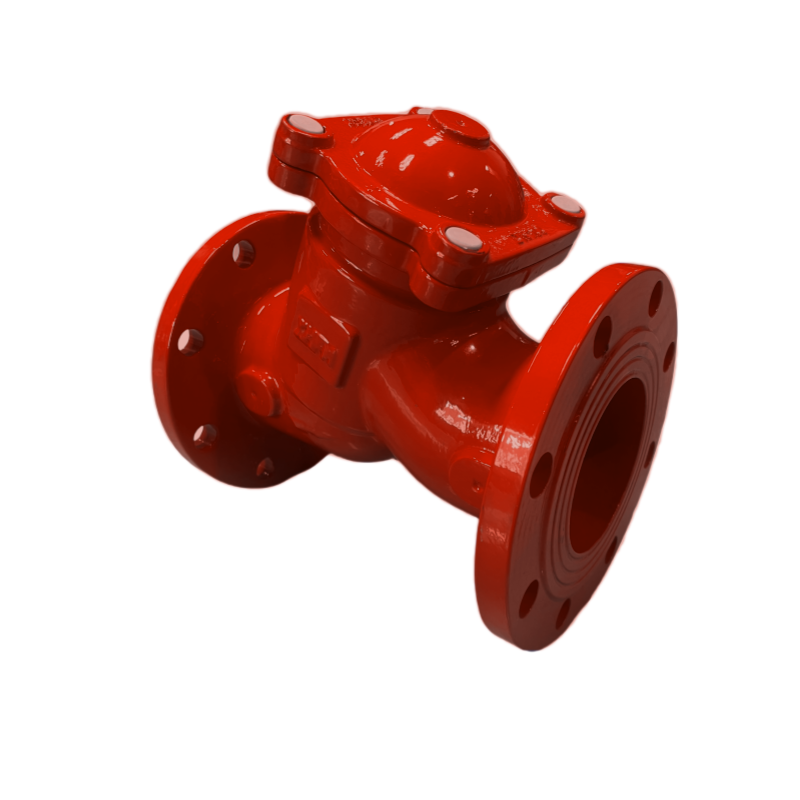 Customization Ductile Iron Y Type Filter Valve Y Type Flange Water Strainer