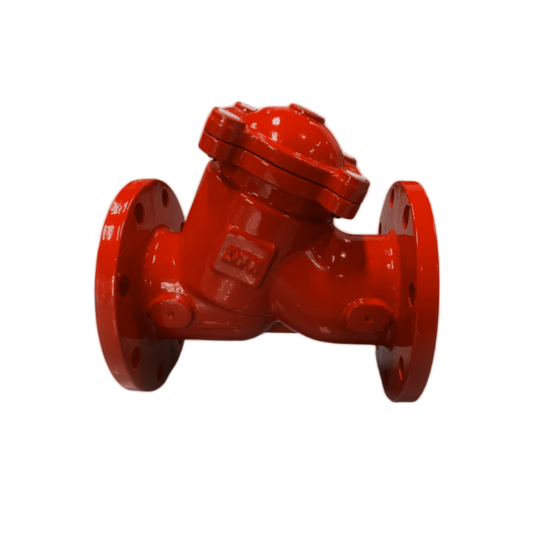 Customization Ductile Iron Y Type Filter Valve Y Type Flange Water Strainer