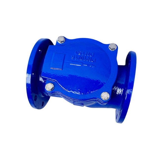 Factory Hot Selling Ductile Iron Cast Iron CI PN16 Flanged Durable Rubber 45 degree Flap Check Valve